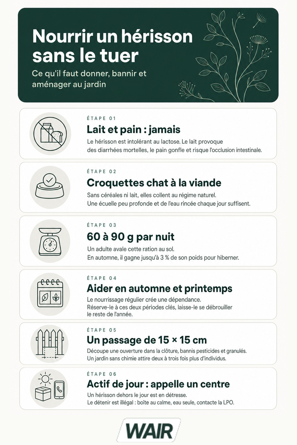 Infographie : hérisson nourriture